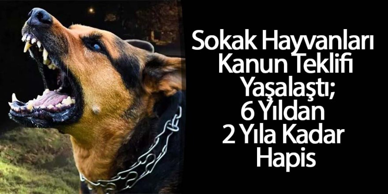 Sahipsiz sokak hayvanlarına ilişkin kanun teklifi TBMM Genel Kurulu’nda kabul edildi