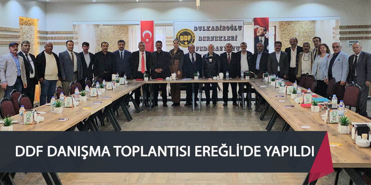 DDF DANIŞMA TOPLANTISI EREĞLİ'DE YAPILDI