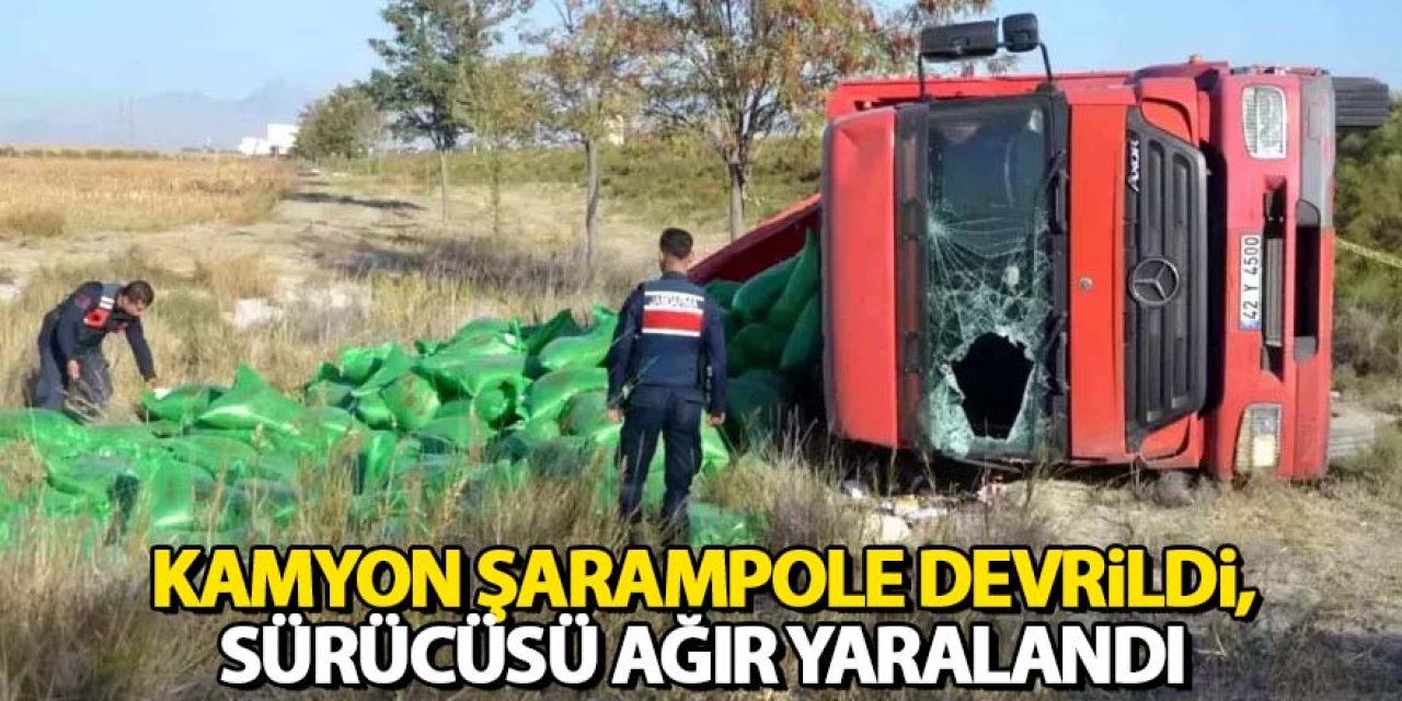 Yem yüklü kamyon şarampole devrildi, sürücüsü ağır yaralandı