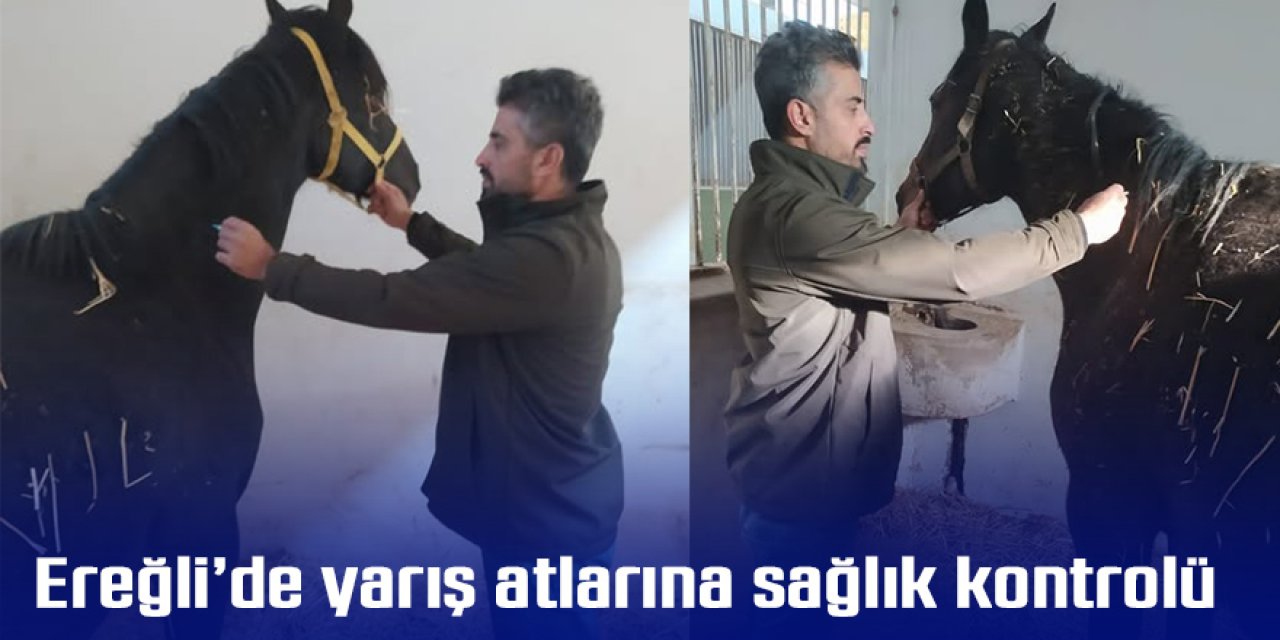 Ereğli’de yarış atlarına sağlık kontrolü