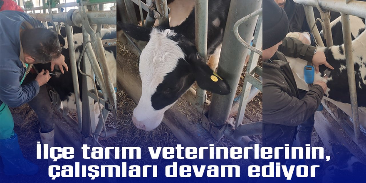 İlçe tarım veterinerlerinden hayvan sağlığına yönelik çalışma