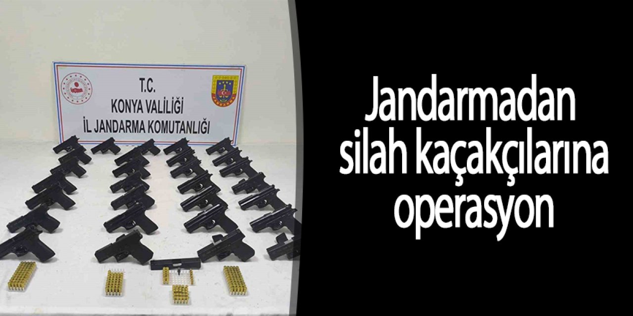 Jandarmadan silah kaçakçılarına operasyon