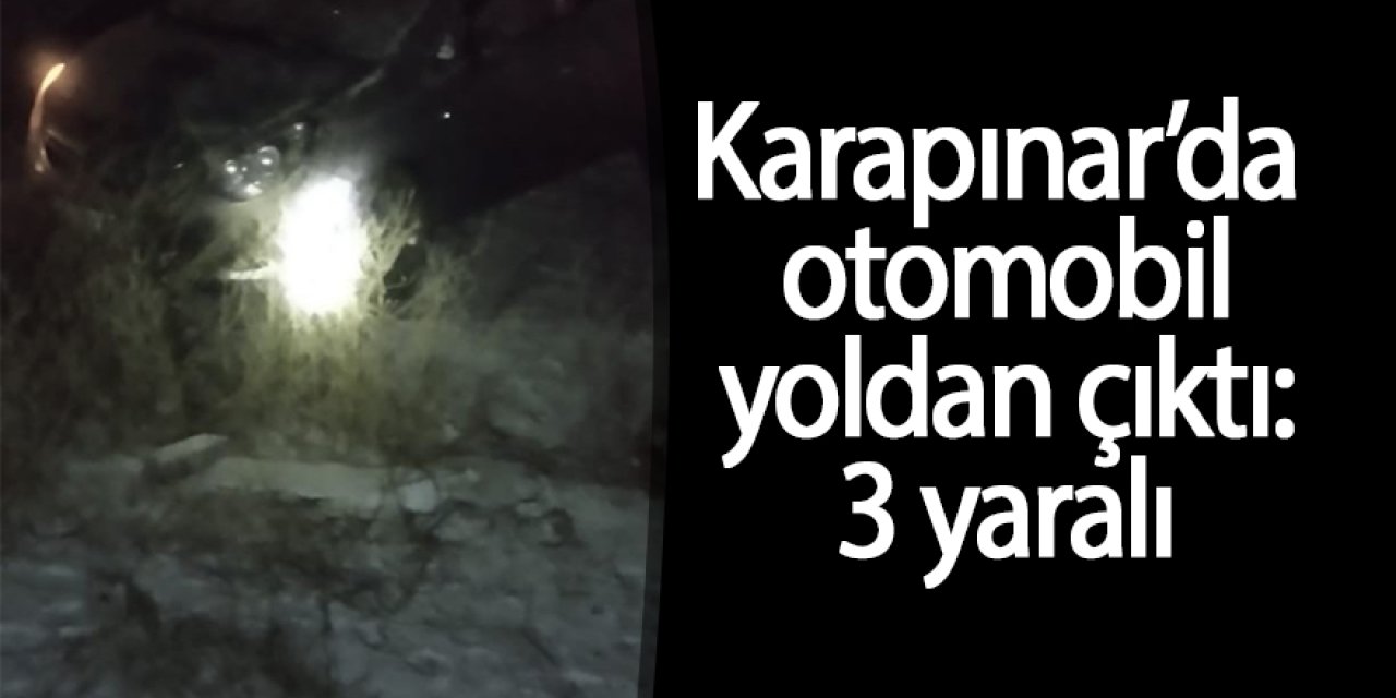Otomobil yoldan çıktı: 3 yaralı