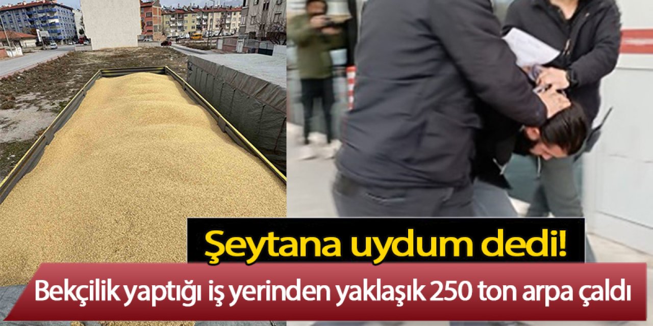 Bekçilik yaptığı iş yerinden yaklaşık 250 ton arpa çaldı