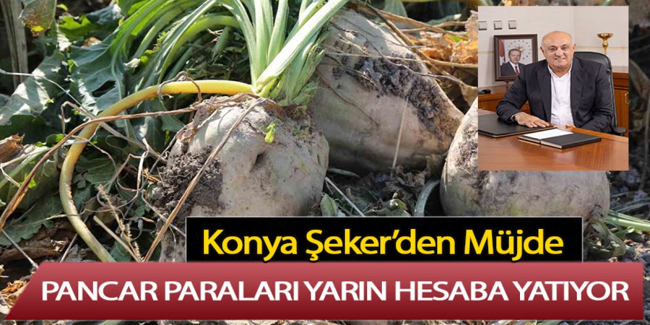 Konya Şeker Pancar paralarını yarın ödemesini yapıyor