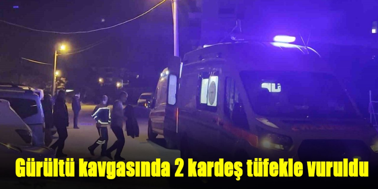 Gürültü kavgasında 2 kardeş tüfekle vuruldu