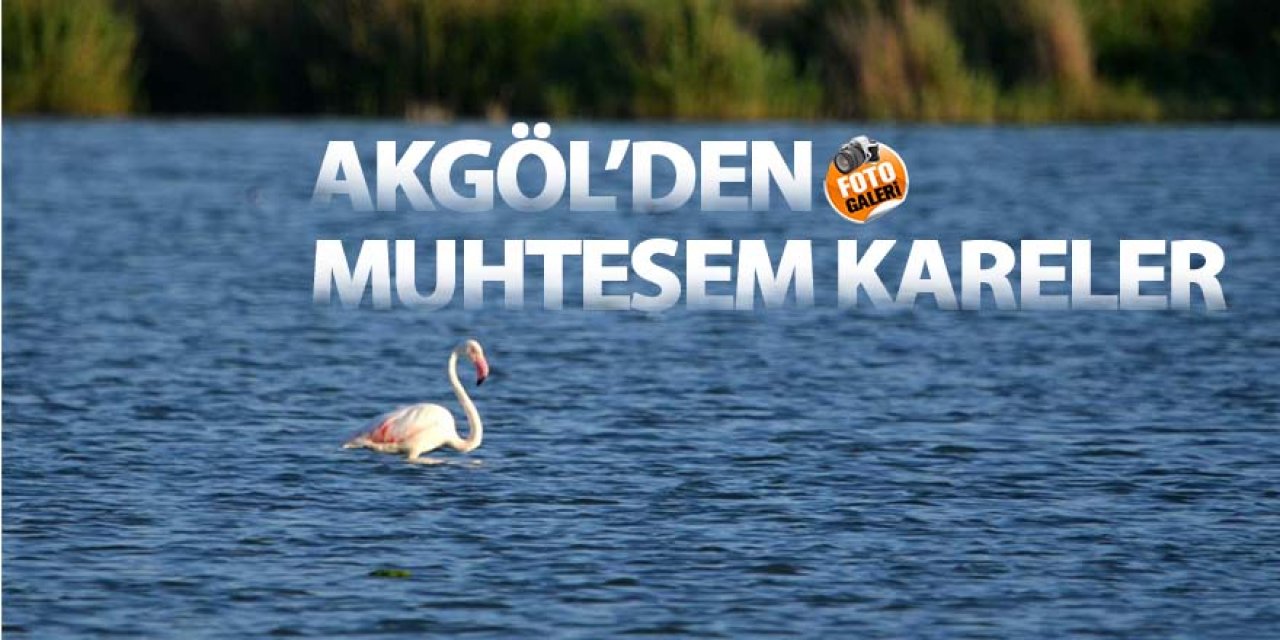 Doğa aşığı polis memuru Tarman çektiği görüntülerle doğanın güzelliğini gündeme taşıyor!