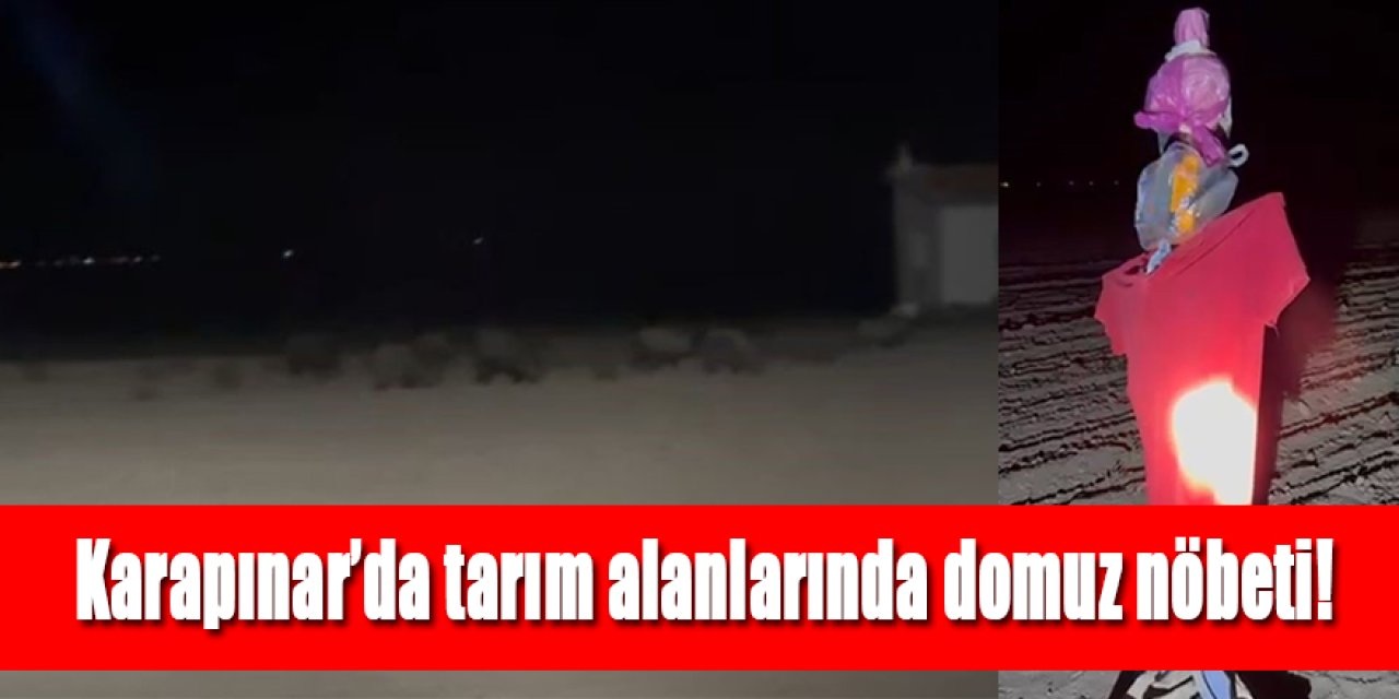 Karapınar’da tarım alanlarında domuz nöbeti