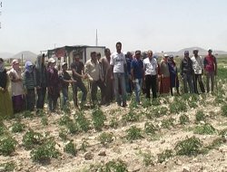 Türkiyenin Tarım Alanında ki Yeni Lokomatifi ZENGEN