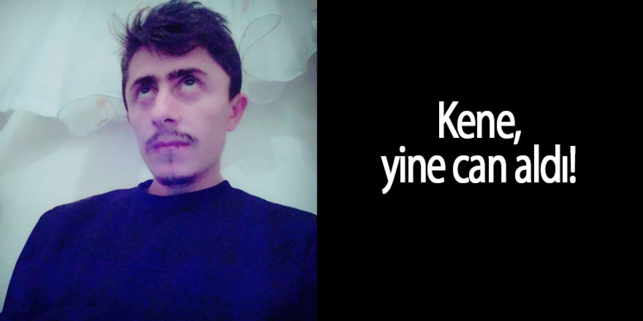 Kene yine can aldı
