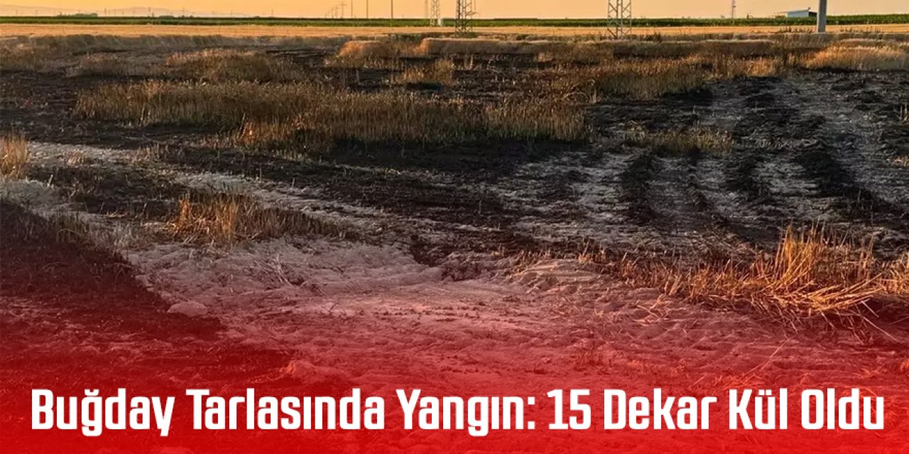 Buğday Tarlasında Yangın: 15 Dekar Kül Oldu