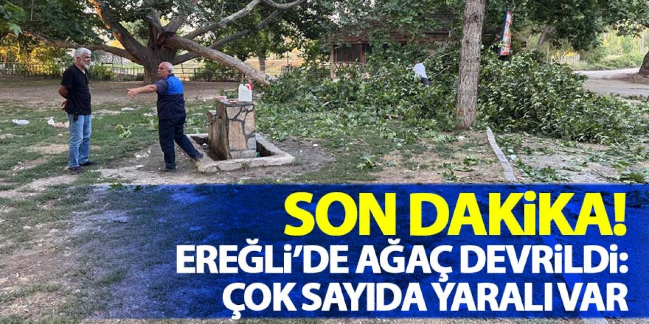 Ereğli’de piknik alanında ağaç devrildi: 11 yaralı