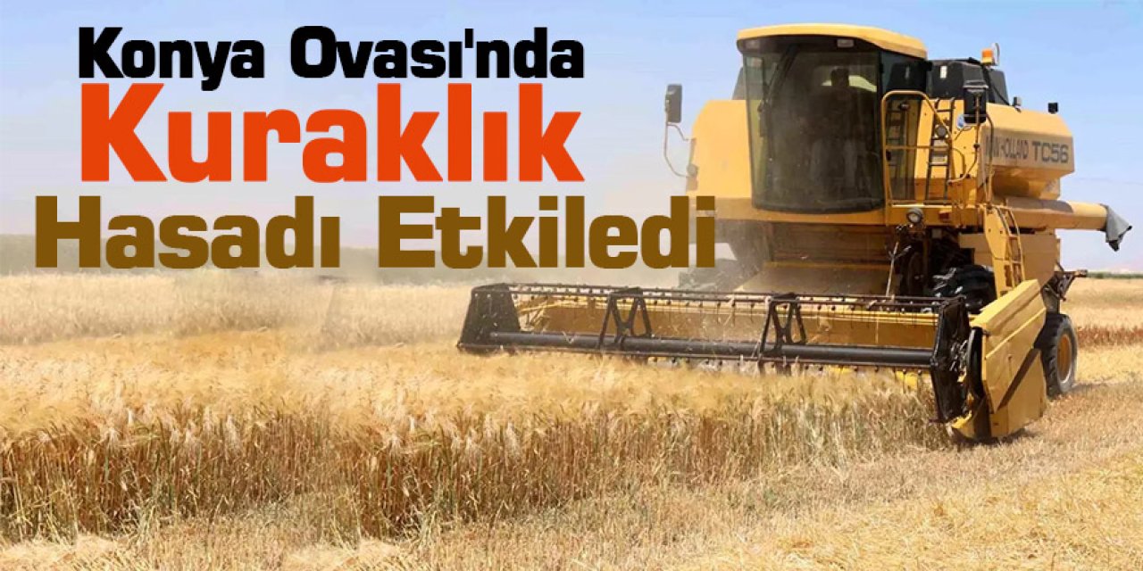 Konya Ovası'nda Kuraklık Hasadı Etkiledi