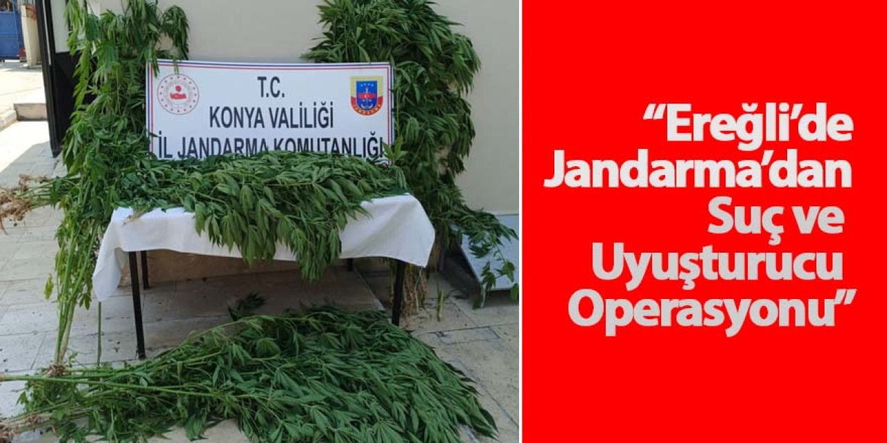 “Ereğli’de Jandarma’dan Suç ve Uyuşturucu Operasyonu”