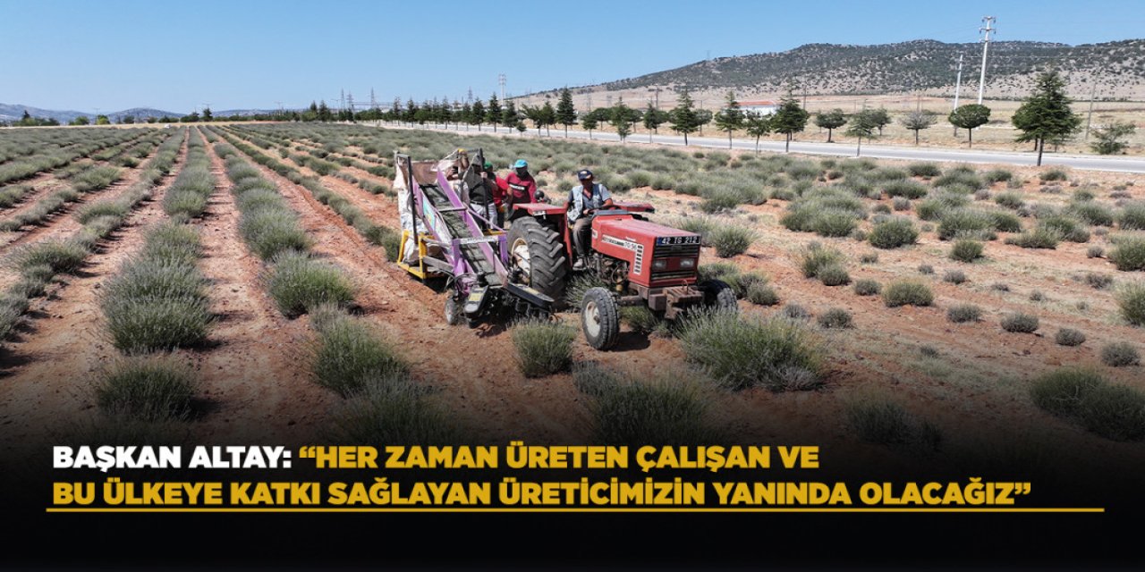 Konya Büyükşehir’in Desteğiyle Güneysınır’da Üretilen Lavantaların Hasadı Yapıldı