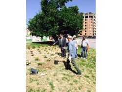 Ereğli, Peyzaj Çalışmalarıyla Bir Başka Olacak