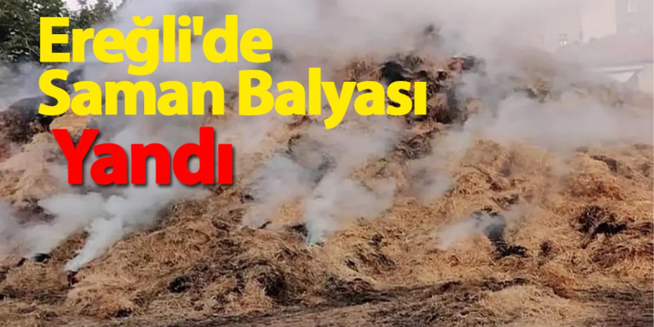 Ereğli'de Saman Balyası Yangını