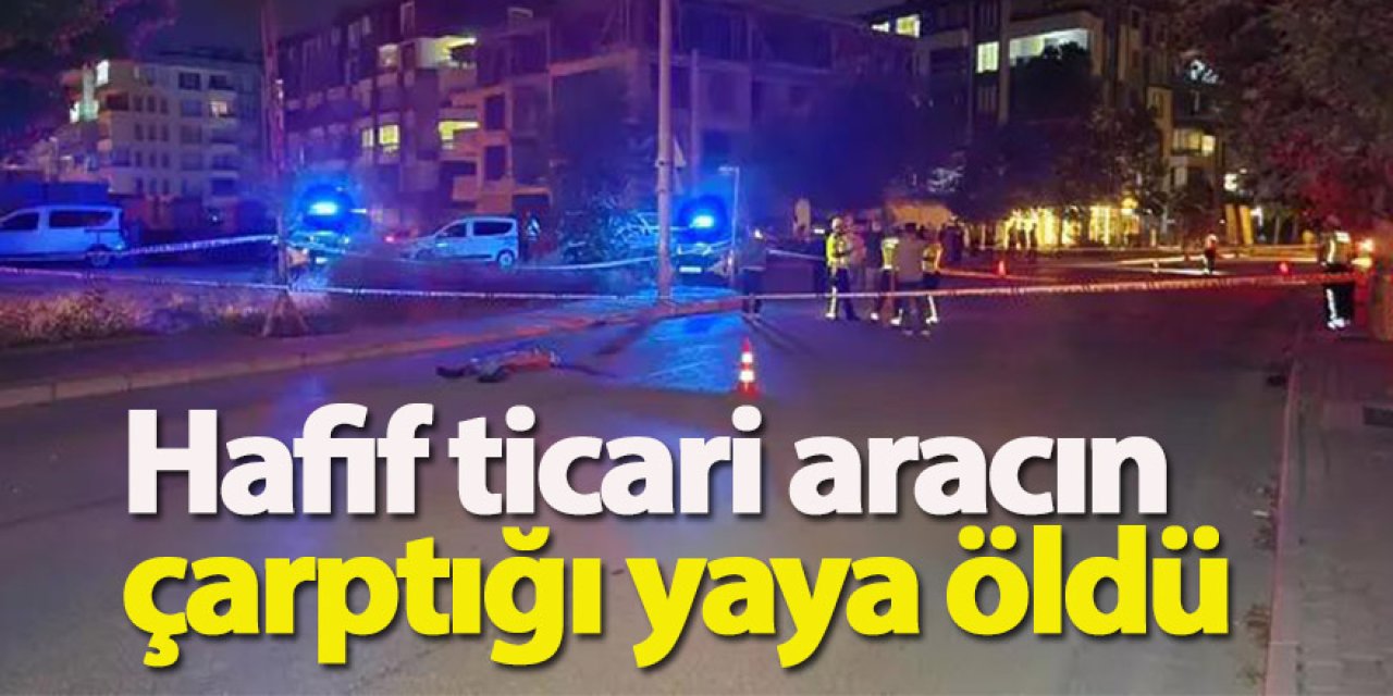Hafif ticari aracın çarptığı yaya öldü