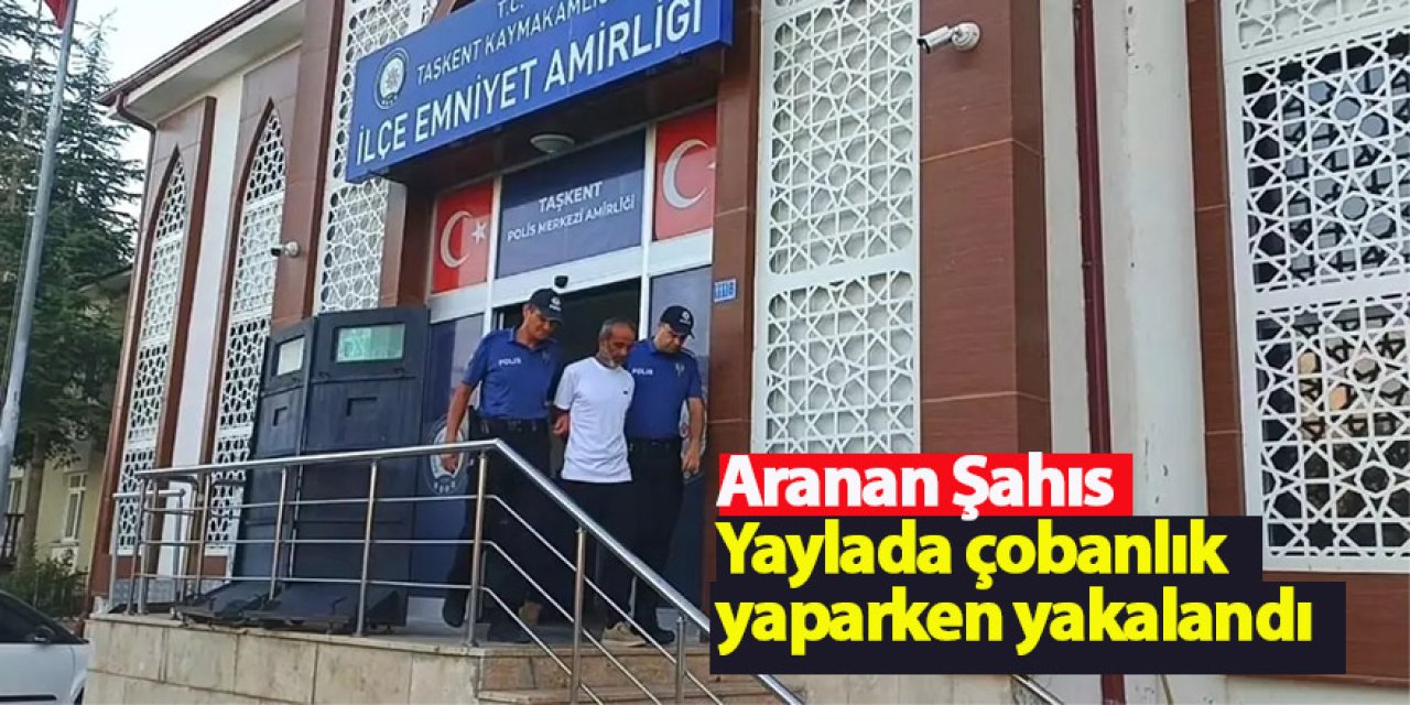 Aranan Şahıs Yaylada Yakalandı