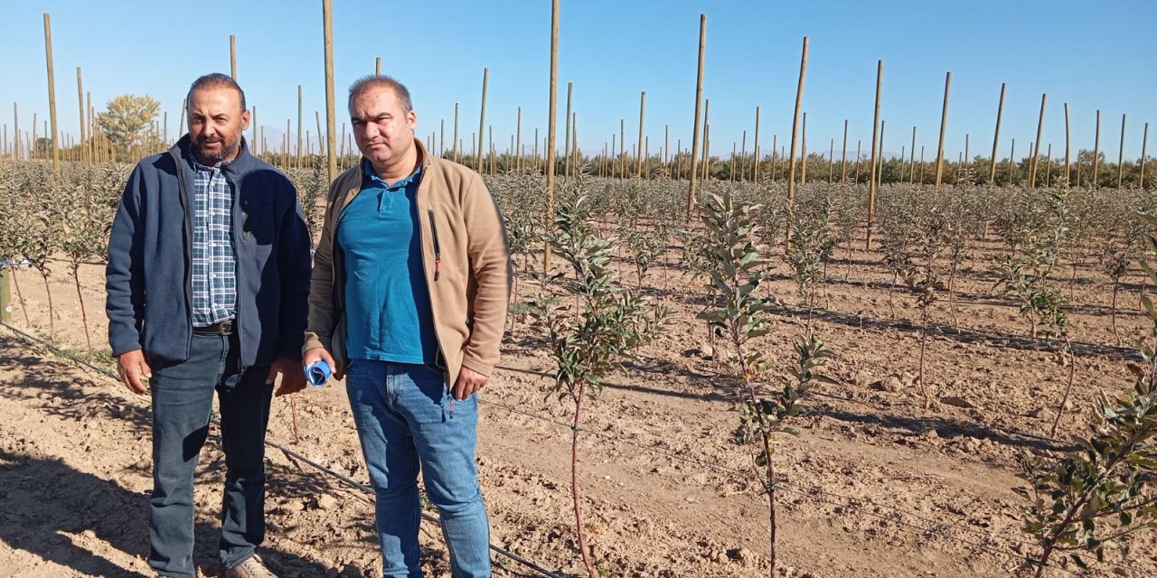 Ereğli’de Sertifikalı Fidan Bahçesi Denetimleri Devam Ediyor