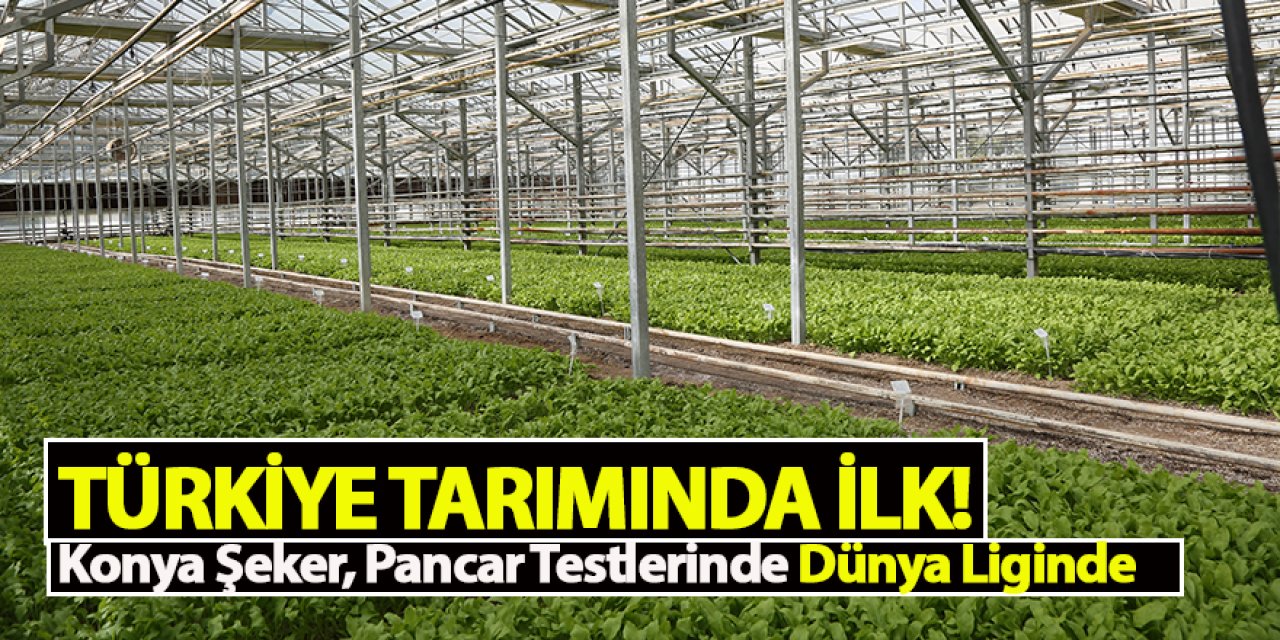 TÜRKİYE TARIMINDA İLK! Konya Şeker, Pancar Testlerinde Dünya Liginde