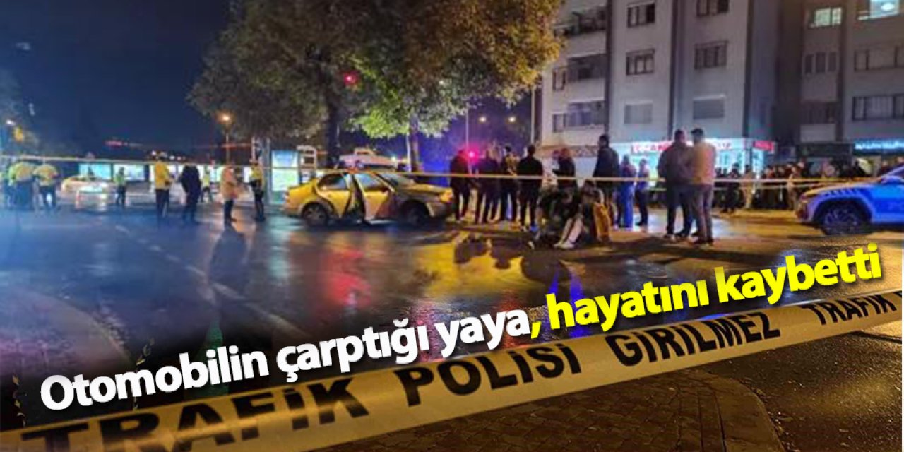 Otomobilin çarptığı yaya, hayatını kaybetti