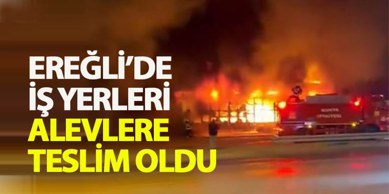 EREĞLİ’DE İŞ YERLERİ ALEVLERE TESLİM OLDU