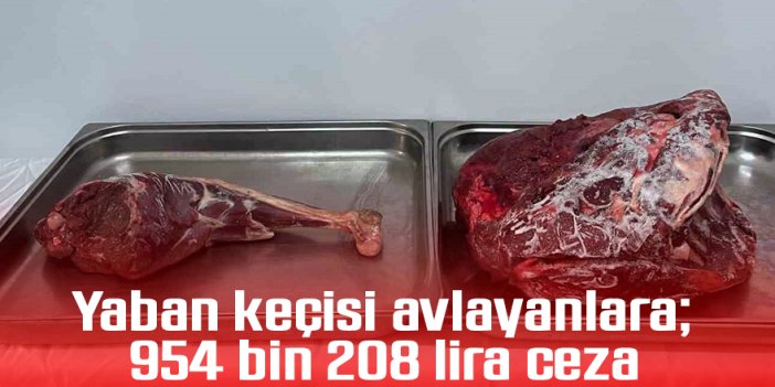 Yaban keçisi avlayanlara; 954 bin 208 lira ceza
