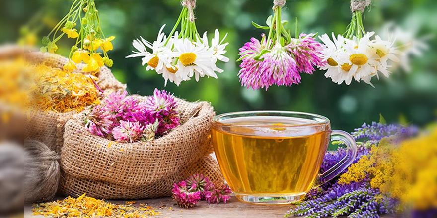 Bitki çayları doğru tüketilmediğinde faydadan çok zarar verebilir