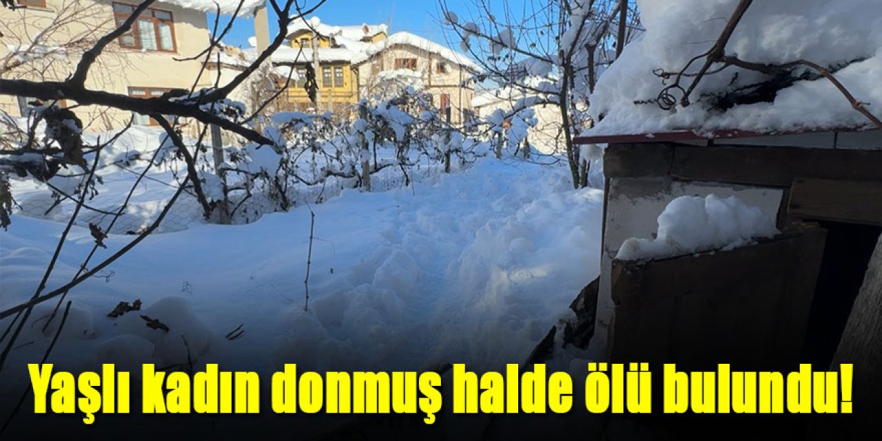Yaşlı kadın donmuş halde ölü bulundu!
