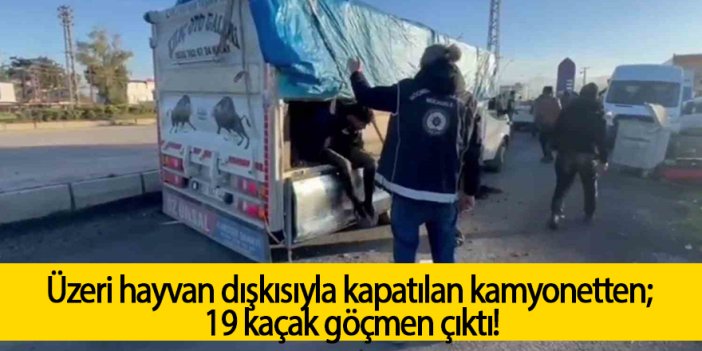 Üzeri hayvan dışkısıyla kapatılan kamyonetten; 19 kaçak göçmen çıktı!