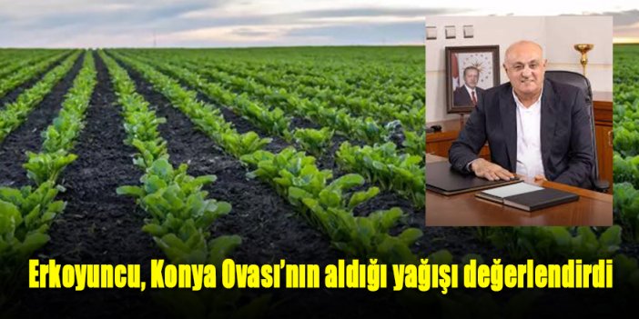Erkoyuncu, Konya Ovası’nın aldığı yağışı değerlendirdi