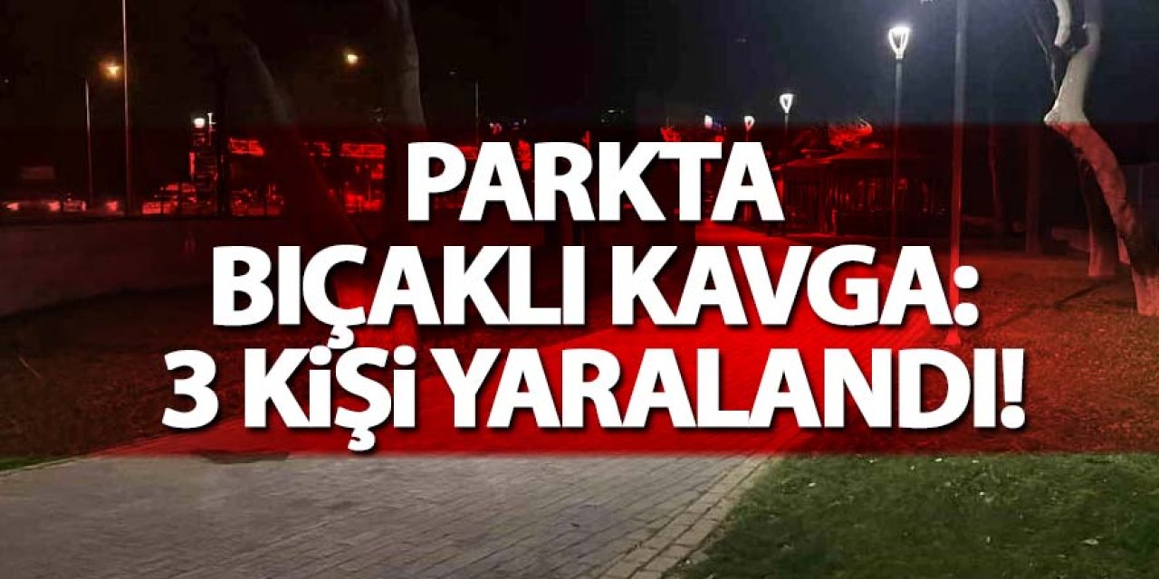 Parkta bıçaklı kavga: 3 kişi yaralandı