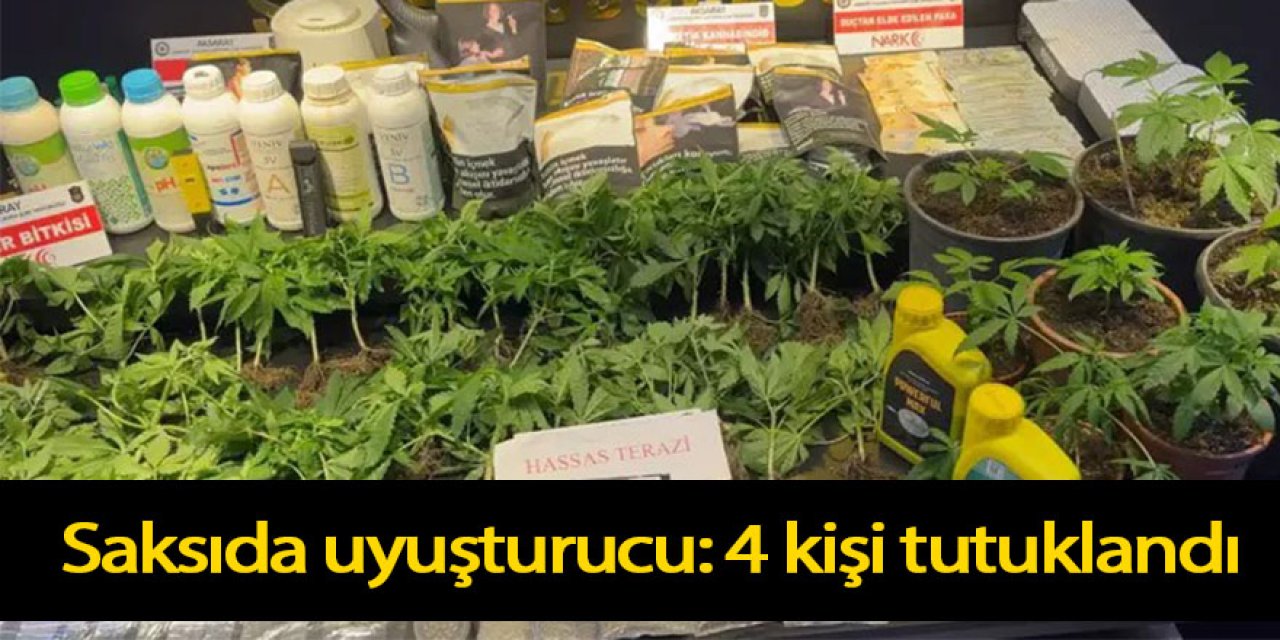 Saksıda uyuşturucu: 4 kişi tutuklandı