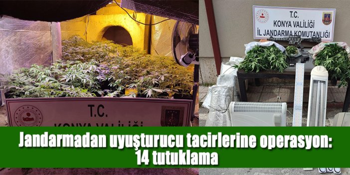 Jandarmadan uyuşturucu tacirlerine operasyon: 14 tutuklama