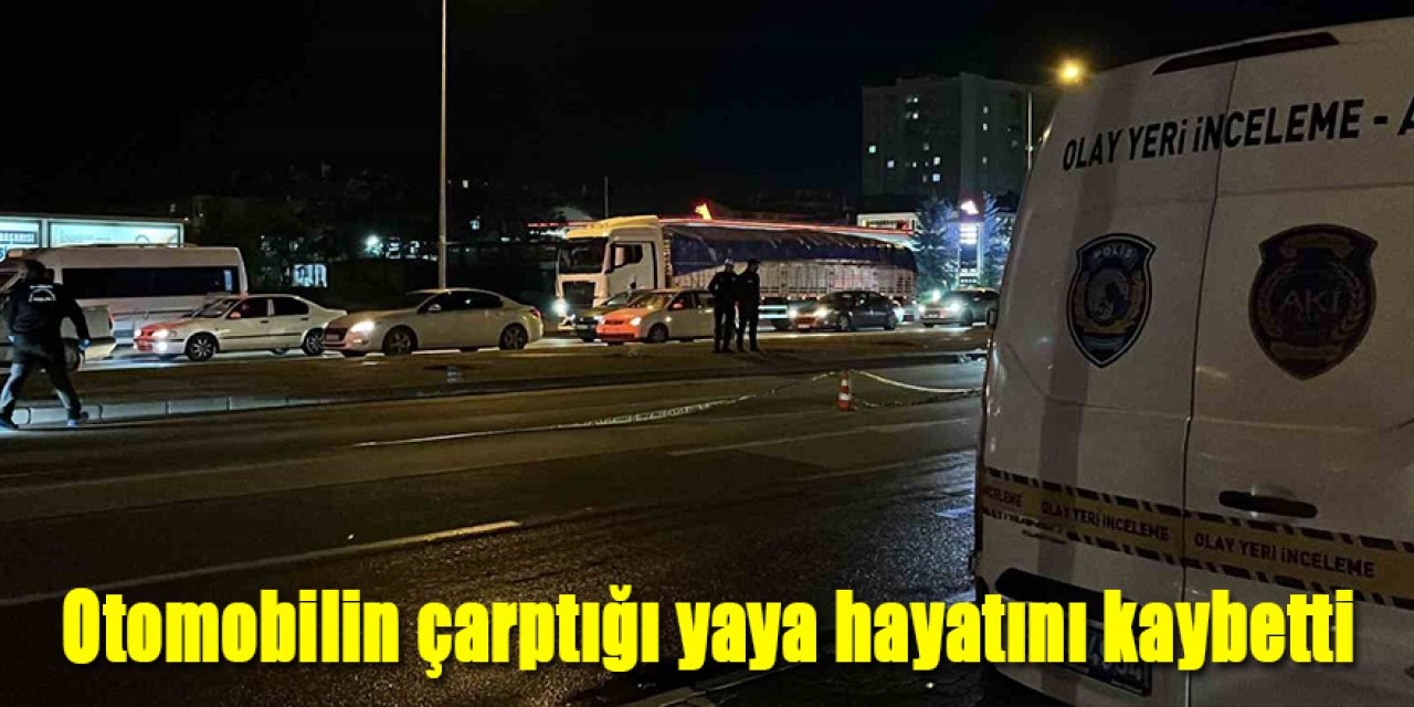 Otomobilin çarptığı yaya hayatını kaybetti
