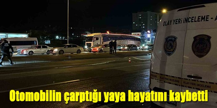 Otomobilin çarptığı yaya hayatını kaybetti