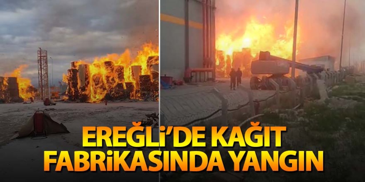 Ereğli’de kağıt fabrikasında yangın