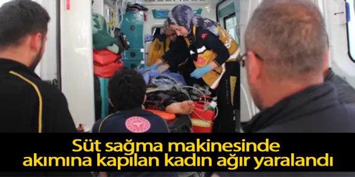 Süt sağma makinesinde akımına kapılarak ağır yaralandı