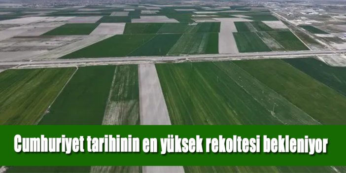 Konya Ovası’nda Cumhuriyet tarihinin en yüksek rekoltesi bekleniyor