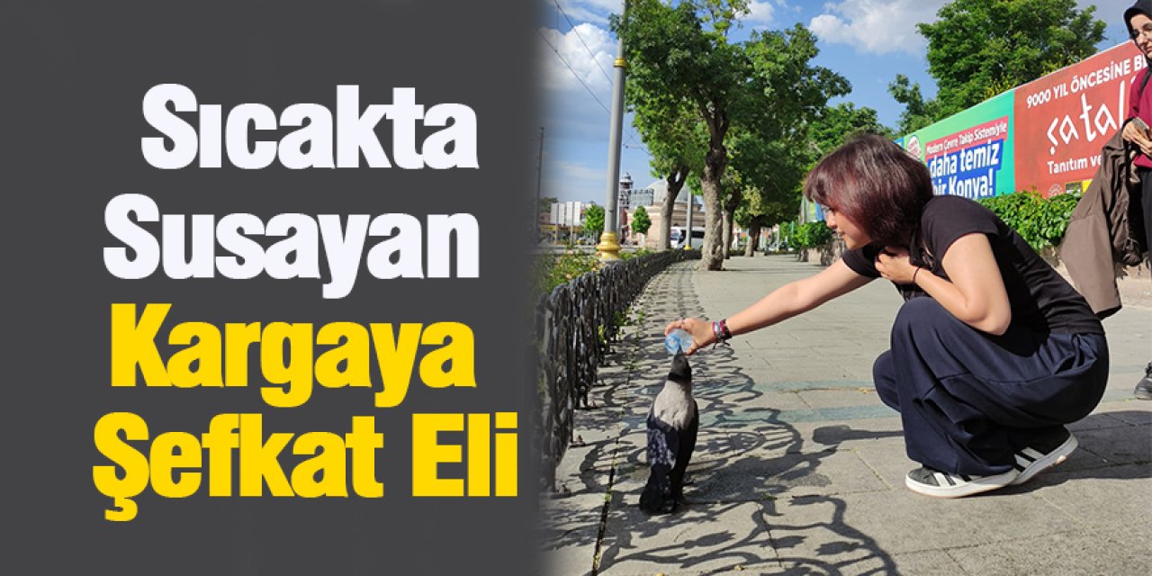 Konya'da Yürekleri Isıtan Anlar: Sıcakta Susayan Kargaya Şefkat Eli