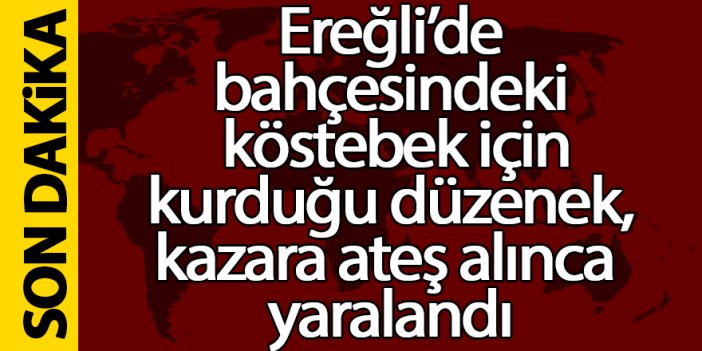 Ereğli’de bahçesindeki köstebek için kurduğu düzenek, kazara ateş alınca yaralandı