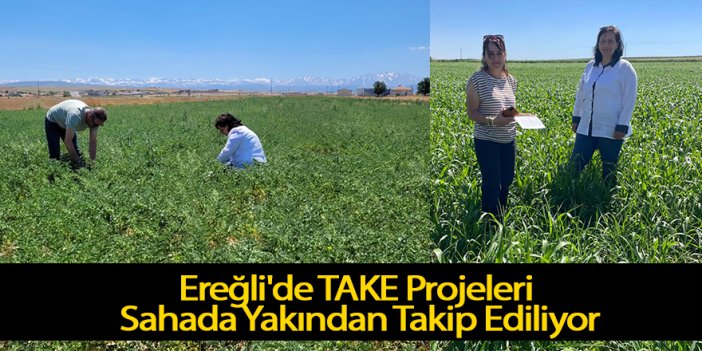 Ereğli'de TAKE Projeleri Sahada Yakından Takip Ediliyor