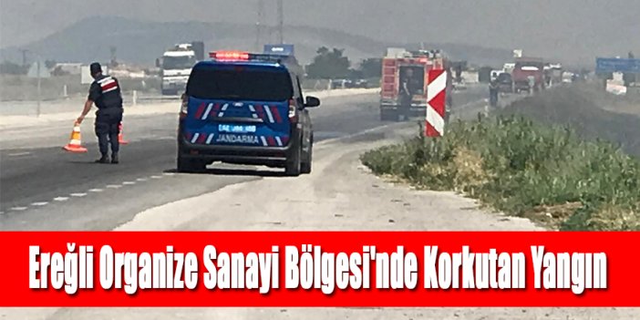 Ereğli Organize Sanayi Bölgesi'nde Korkutan Yangın