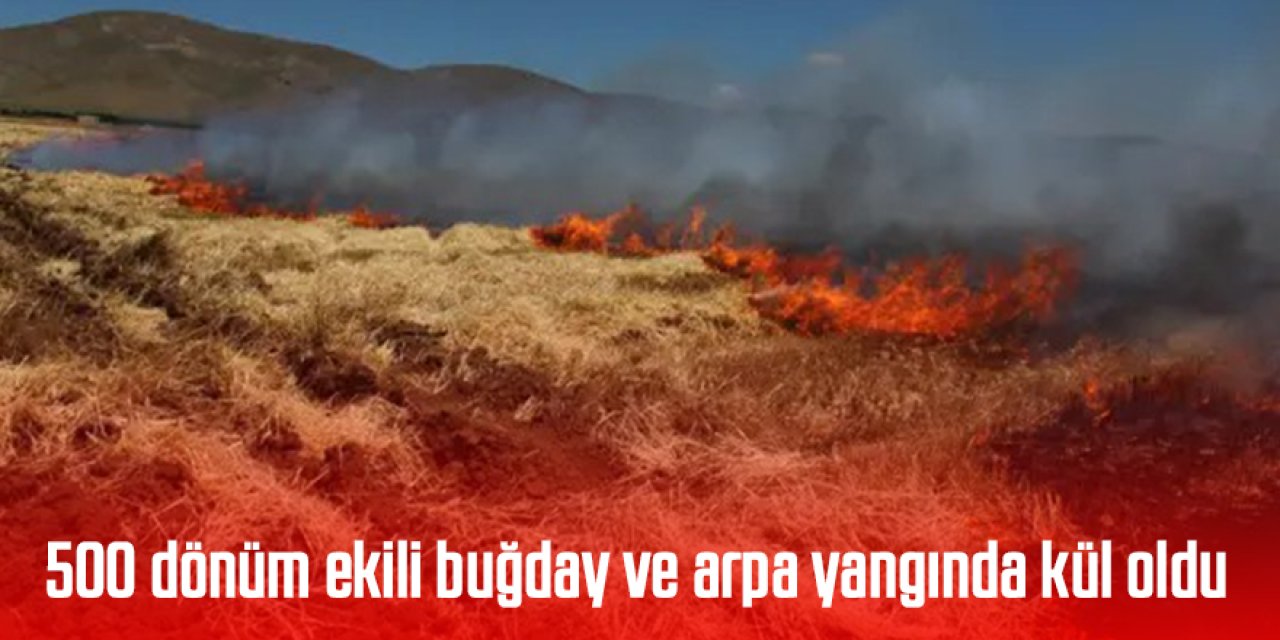 500 dönüm ekili buğday ve arpa yangında kül oldu