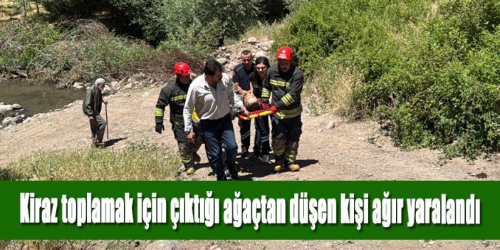 Kiraz toplamak için çıktığı ağaçtan düşen kişi ağır yaralandı