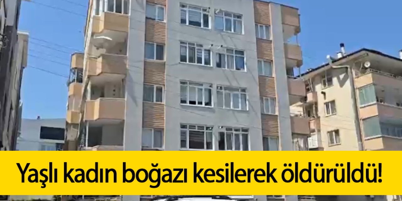 Yaşlı kadının katili komşusu çıktı!