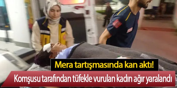 Mera tartışmasında komşusu tarafından tüfekle vurulan kadın ağır yaralandı