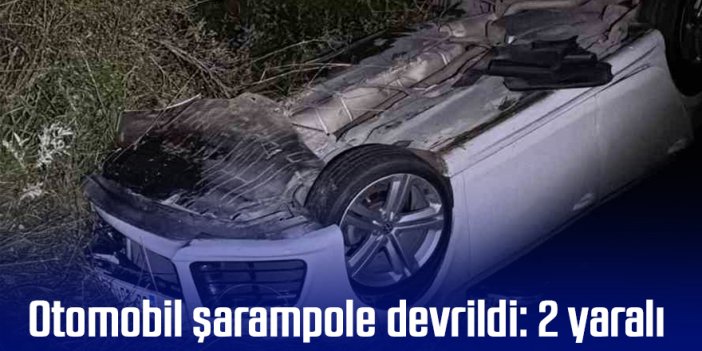 Otomobil şarampole devrildi: 2 yaralı