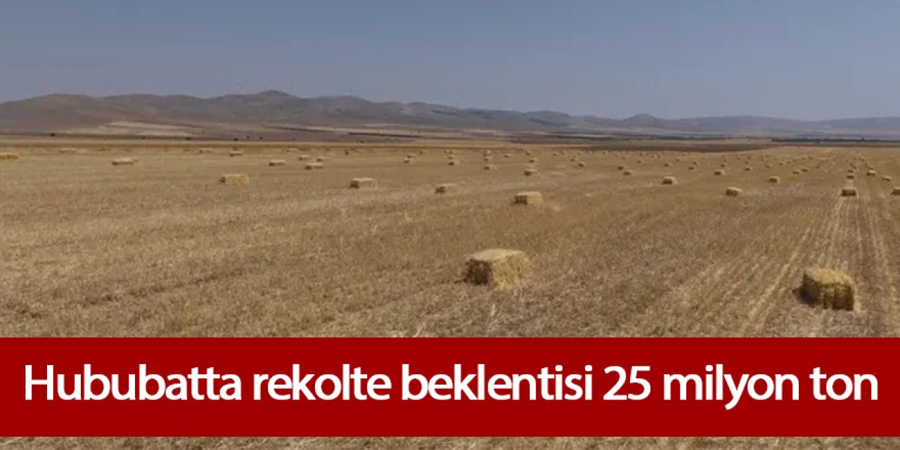 Hububatta rekolte beklentisi 25 milyon ton